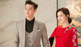 只为遇见你电视剧,穿越时空的浪漫邂逅