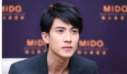 吴尊电视剧,魅力演绎，情感交织的青春篇章