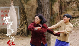 年年岁岁柿柿红电视剧,岁月流转中的家国情怀与爱情传奇