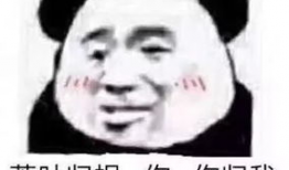 东方侠客电视剧,剑指江湖，传奇再续